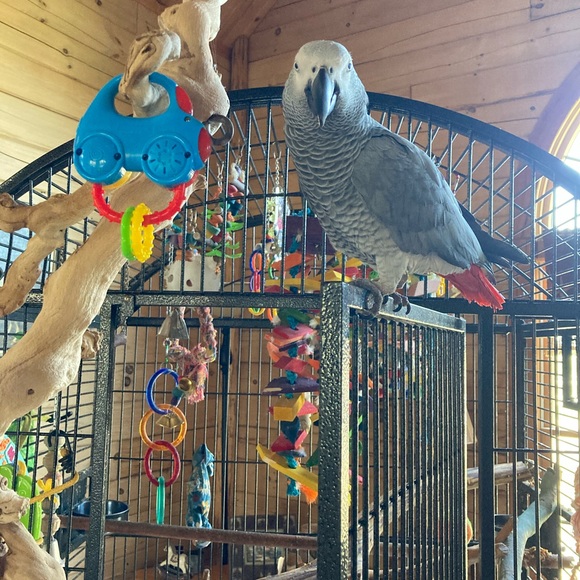 Meet your Posher, Katherine - Picture 13 of 14